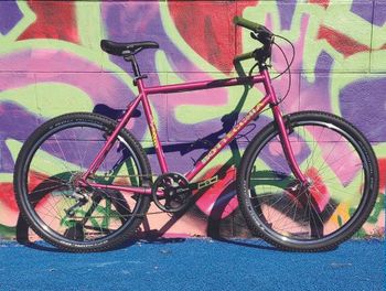 Bottecchia Wild Desert 2025 MTB usato