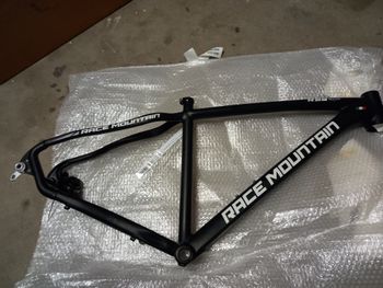 Used RACE MOUNTAIN R 29 - ALLOY - 2021 Frameset 2022 MTB