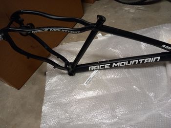 Used RACE MOUNTAIN R 29 - ALLOY - 2021 Frameset 2022 Mountainbike, Light Gray — image 7 of 8