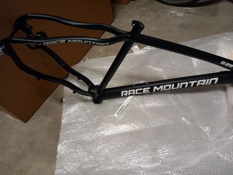 Used RACE MOUNTAIN R 29 - ALLOY - 2021 Frameset 2022 Mountainbike, Light Gray — image 7 of 8