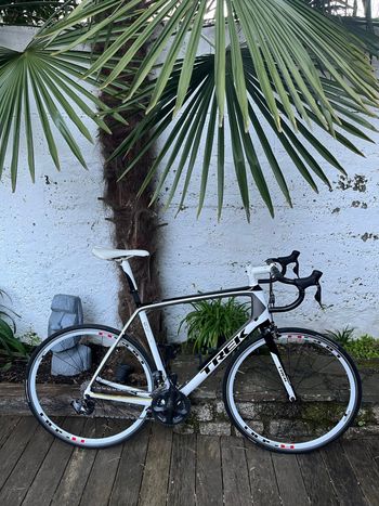 Trek, Madone 6.5 H2 (Compact) 2013