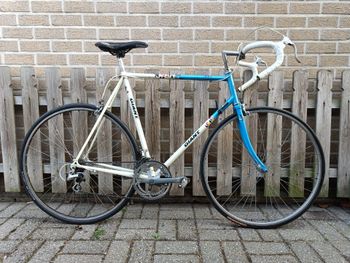 Giant Swift, Giant Swift Custom Other