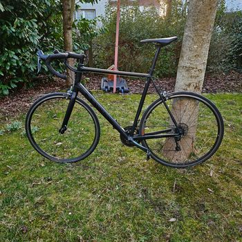 Canyon, Endurace AL 6.0 2021