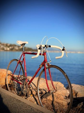 Vitus, Vitus Custom Simplex Vintage