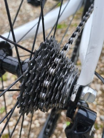 Used Pinarello FP Campagnolo Chorus 2015 Road & Gravel, Red — image 4 of 10