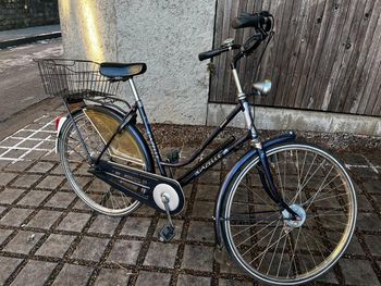 Gazelle, Gazelle Custom