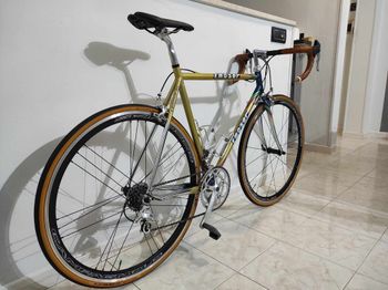 Moser 2.0 - a Vintage Racing Bike with Modern Components
