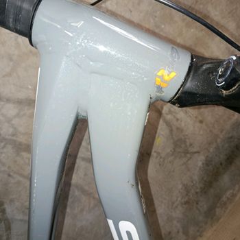 Used Focus Thron Shimano Deore 2023 Mountainbike, Light Gray — image 13 of 20