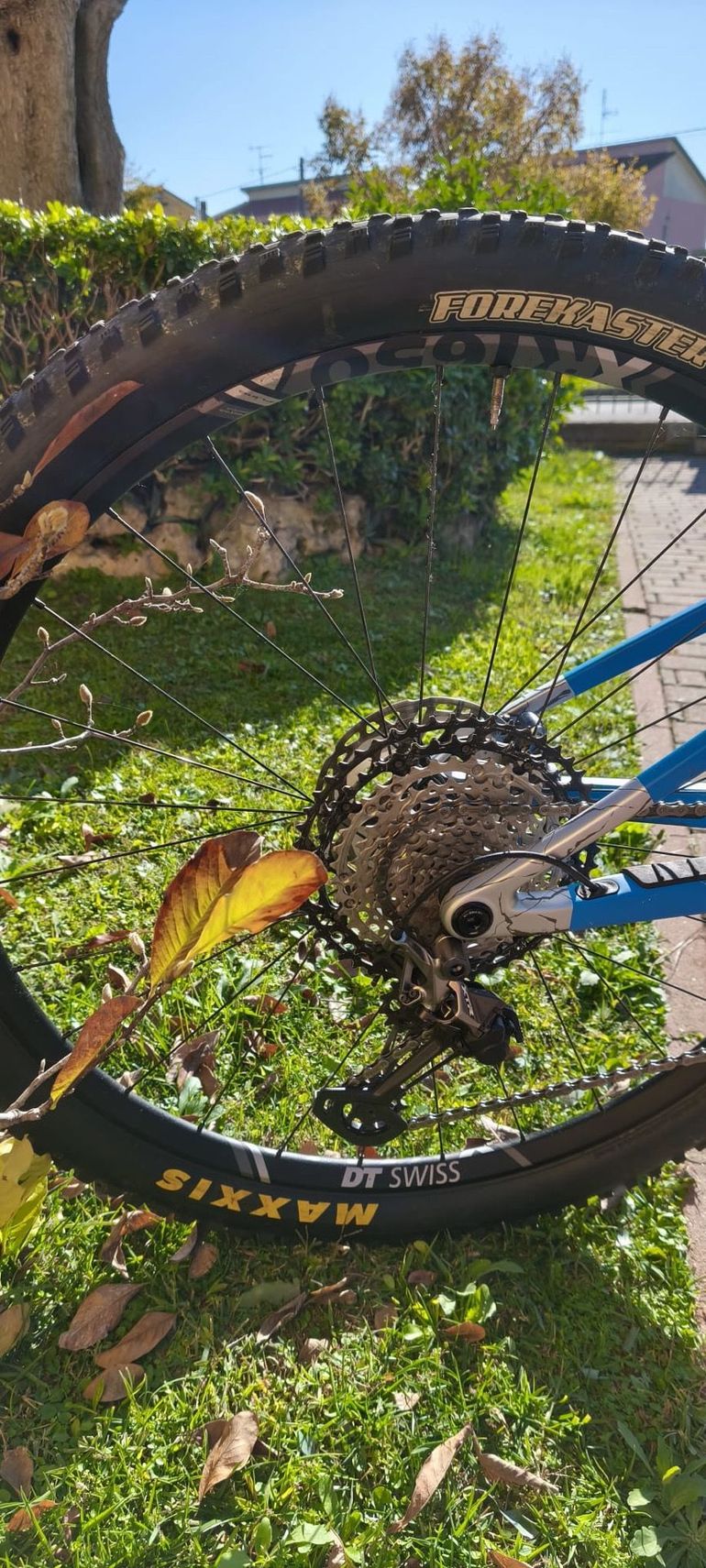 Used Orbea OIZ M PRO 2021 2021 Mountainbike — image 3 of 14