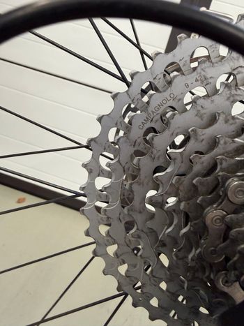 Used Pinarello Crossista Campagnolo Ekar 2024 Road & Gravel, Blue — image 6 of 15