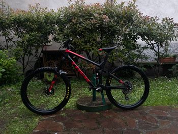 Trek, Remedy 9.9 Race Shop Limited 2017