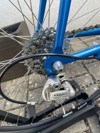 Used Pinarello Pinarello Custom Campagnolo Veloce 2002 Road & Gravel, Orange — image 5 of 8