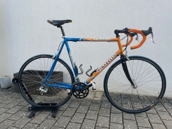 Used Pinarello Pinarello Custom Campagnolo Veloce 2002 Road & Gravel
