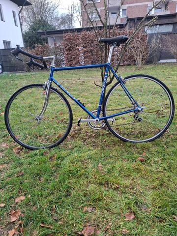 Used Colnago Custom Other Campagnolo 1980 Road & Gravel, Blue — image 2 of 9