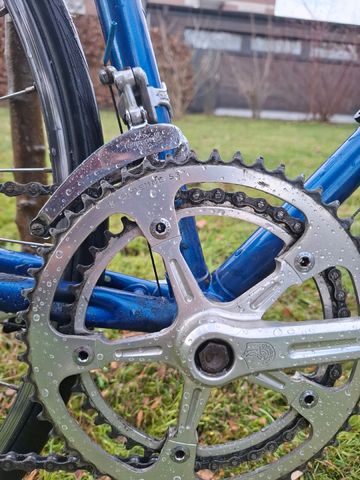 Used Colnago Custom Other Campagnolo 1980 Road & Gravel, Blue — image 4 of 9