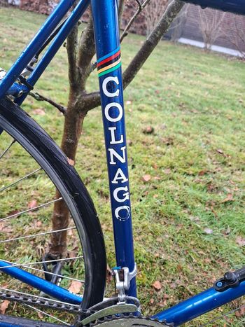 Used Colnago Colnago Custom Other Campagnolo 1980 Road & Gravel, Blue — image 6 of 9