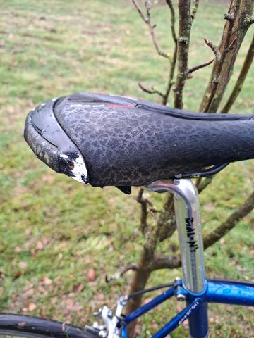 Used Colnago Custom Other Campagnolo 1980 Road & Gravel, Blue — image 9 of 9