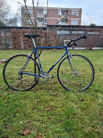 Used Colnago Colnago Custom Other Campagnolo 1980 Road & Gravel