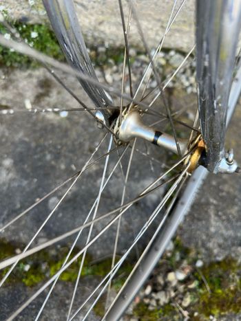 Used Colnago Mexico Campagnolo Super Record 1972 Road & Gravel — image 9 of 27