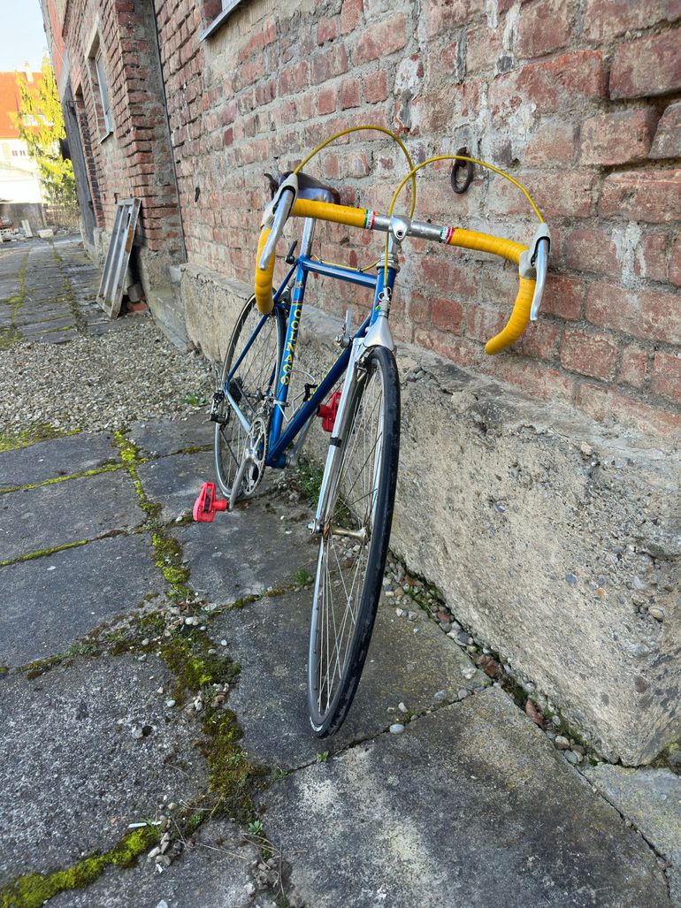 Used Colnago Mexico Campagnolo Super Record 1972 Road & Gravel — image 27 of 27