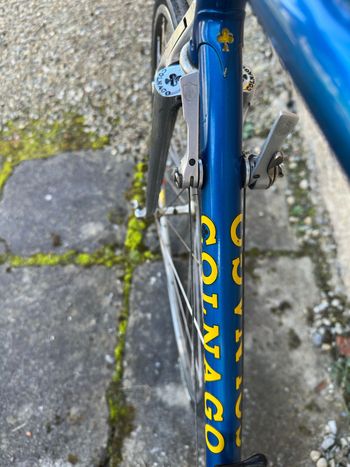 Used Colnago Mexico Campagnolo Super Record 1972 Road & Gravel — image 22 of 27