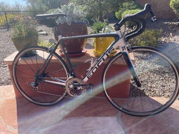 Focus, Izalco