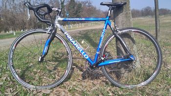 Used Pinarello Galileo 2006 Road & Gravel, Blue — image 2 of 11