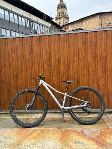 Specialiced Custom SRAM X01 Eagle AXS 2020 MTB d'occasion