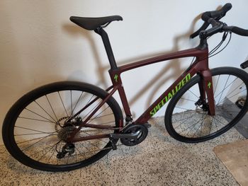 Specialized, Roubaix SL8 - Shimano Tiagra 2024