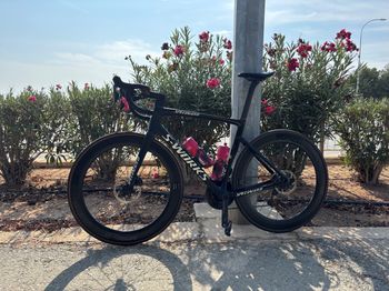 Used S Works Tarmac Sl7 2023 Road & Gravel, Black — image 13 of 13