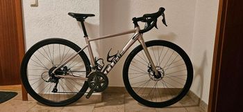 Atala Campione D'Italia E Del Mondo 1982 1983 22 in. For Sale