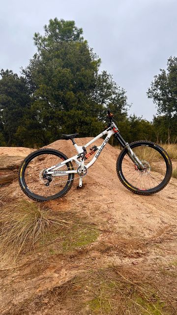 Tweedehands Saracen Myst Pro 29 / 27.5 2023 2023 MTB