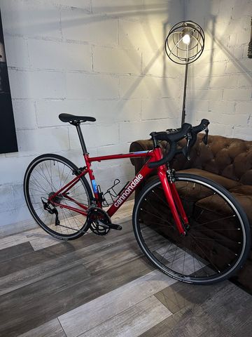 Used Cannondale CAAD Optimo 1 2026 2026 Road & Gravel, Red — image 17 of 17