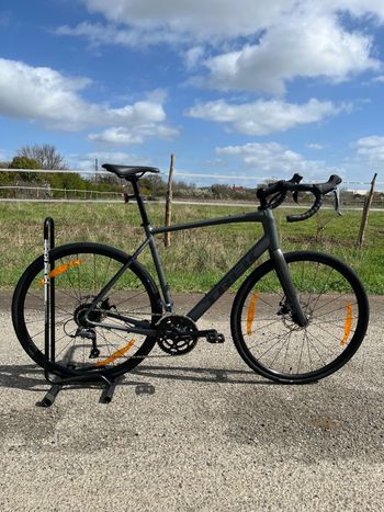 Trek, Domane AL 2 Gen 4 2026