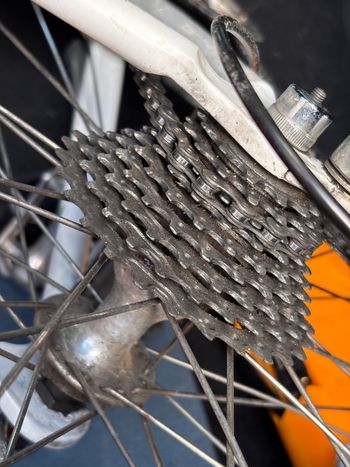 Used Colnago Master - Campa Veloce 1989 Road & Gravel, White — image 6 of 7