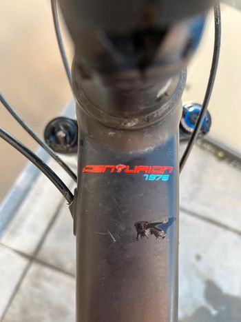 Used Centurion Centurion Custom Shimano Deore XT 2018 Mountainbike — image 7 of 9