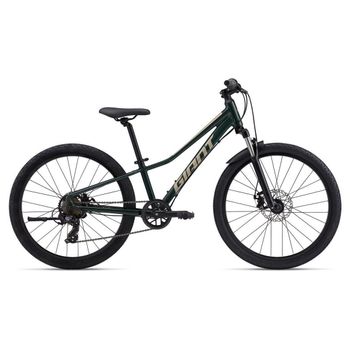 Giant, Giant Talon 24 Disc Trekking Green