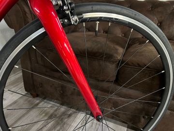 Used Cannondale CAAD Optimo 1 2026 2026 Road & Gravel, Red — image 13 of 17