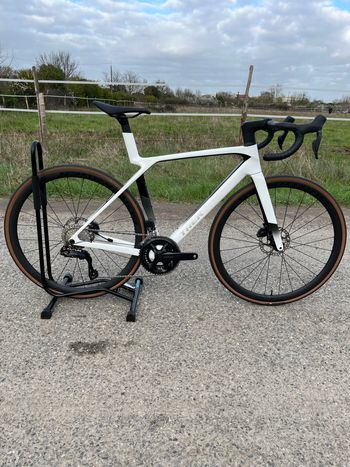 Trek, Madone SL 6 Gen 8 2025