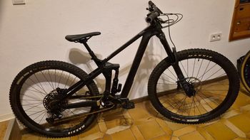 Canyon, Strive CF 7 2021