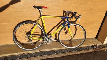 Gitane, Gitane
