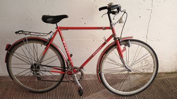 Francesco Moser, Moser Passeggio