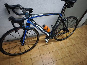 Orbea, Gold