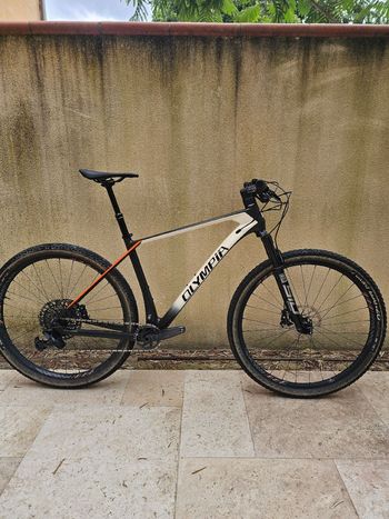 Used Olympia Olympia Custom SRAM GX Eagle 2023 MTB