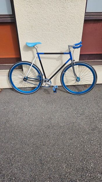 Used Peugeot Route Transformé En Fixie 1985 Urban & Touring