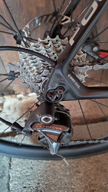 Focus, Cayo Shimano Ultegra