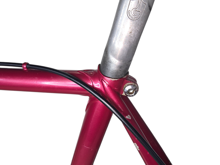 Used Grandis Grandis - Campagnolo Record 1976 Road & Gravel, Purple — image 4 of 25