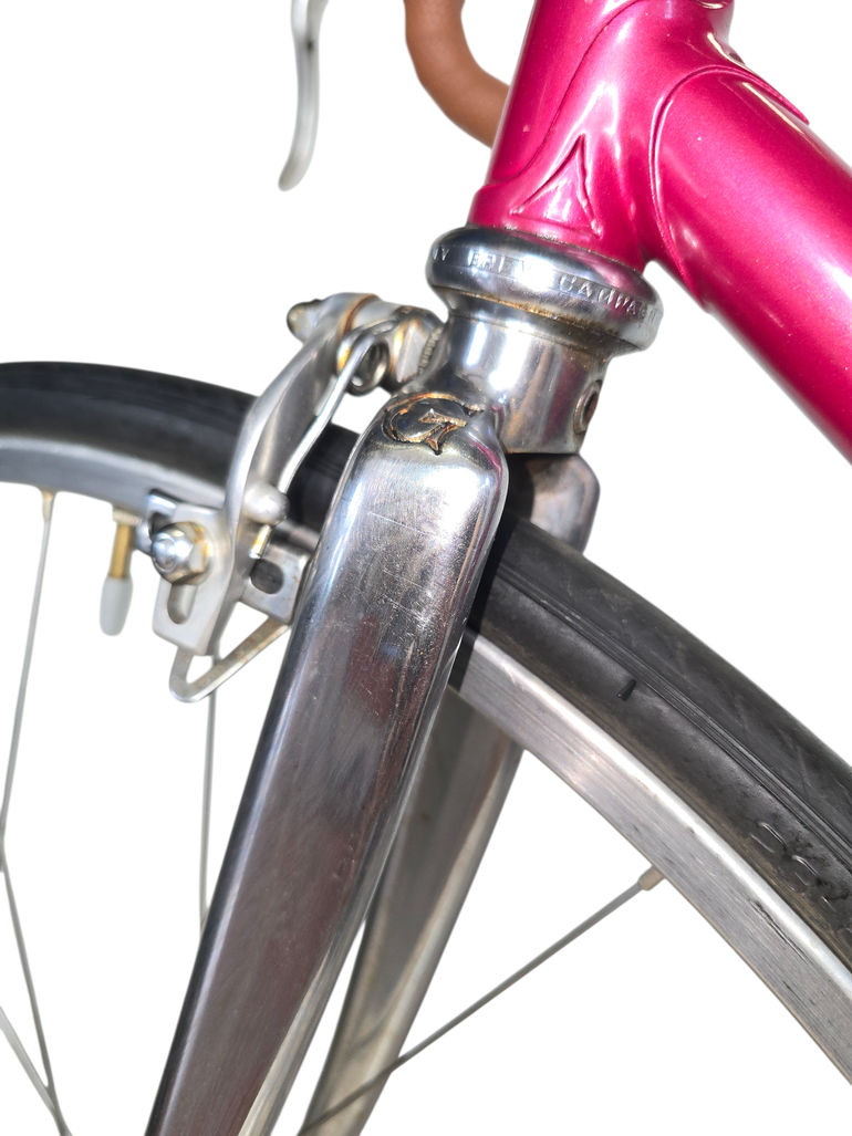 Used Grandis Grandis - Campagnolo Record 1976 Road & Gravel, Purple — image 9 of 25