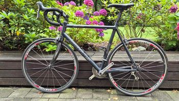 Used curtis Emotion Team 2010 Road & Gravel, Black — image 1 of 11