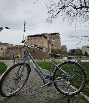 Used Wd99 Custom Other Shimano 2025 Urban, Light Gray — image 2 of 4
